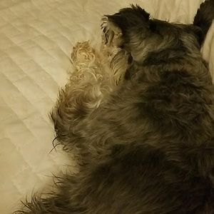 Meet your Posher, Gerardo